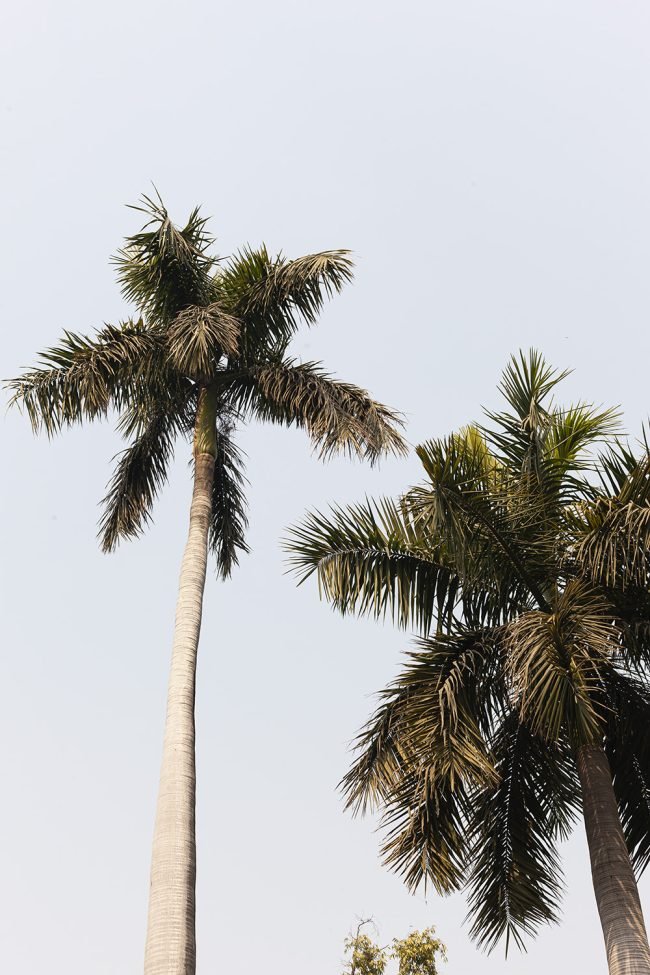_98O8855